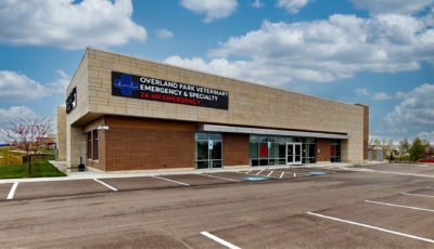 Overland Park Veterinary Emergency & Specialty 3D Model